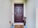 Front entry with dark brown door and potted plants at 13292 Golden Lime Ave, Spring Hill, FL 34609