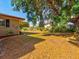 Large backyard with mature trees and landscaping at 1810 Haverford Ave, Sun City Center, FL 33573