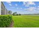Landscaped backyard with lush lawn and scenic water views at 12310 Stonelake Ranch Blvd, Thonotosassa, FL 33592
