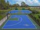 Well-maintained tennis and basketball courts at 12310 Stonelake Ranch Blvd, Thonotosassa, FL 33592