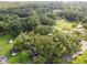 An aerial view showcasing a house nestled among the trees at 7207 Westinghouse Ave, Tampa, FL 33619