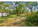 Spacious backyard featuring a large oak tree and grassy area at 7207 Westinghouse Ave, Tampa, FL 33619