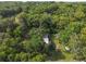 Aerial view reveals the outbuilding tucked away within the dense canopy of mature trees and lush foliage at 16445 Sweetwater Rd, Dade City, FL 33523