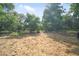 Pasture featuring grazing horse against a backdrop of mature trees, evoking a sense of tranquility and rural charm at 16445 Sweetwater Rd, Dade City, FL 33523