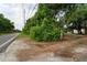 Roadside view of property showing mature trees and vegetation at 7813 Valrie Ln, Riverview, FL 33569