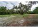 Vacant lot with mature trees and grassy areas at 7813 Valrie Ln, Riverview, FL 33569