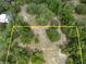 Aerial view of a large lot surrounded by lush trees at 7813 Valrie Ln, Riverview, FL 33569