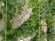 Aerial view of property showcasing lot size and wooded area at 7813 Valrie Ln, Riverview, FL 33569