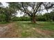 Wooded lot with mature trees and grassy areas at 7813 Valrie Ln, Riverview, FL 33569