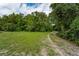 Wooded lot with path and grassy areas at 7813 Valrie Ln, Riverview, FL 33569