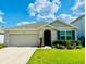 Image 1 of 20: 34048 Soaring Bamboo Path, Wesley Chapel