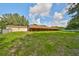 Large backyard with lush green grass, showing the full extent of the property and outbuildings at 12922 672 Hwy, Riverview, FL 33579