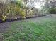 Landscaped backyard featuring a lush lawn, a line of plants, and beautiful trees at 614 Vintage Way, Brandon, FL 33511