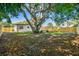 Large backyard with a tree and wooden fence at 5061 Jasmine Cir, St Petersburg, FL 33714