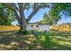 Backyard view with large tree and seating area at 5061 Jasmine Cir, St Petersburg, FL 33714