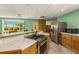 Modern kitchen with stainless steel appliances and backyard views at 803 Bayshore Blvd, Tampa, FL 33606