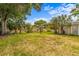 Large backyard with mature trees and spacious grassy area at 803 Bayshore Blvd, Tampa, FL 33606