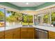 Kitchen features corner sink, stainless steel appliances, and backyard views at 803 Bayshore Blvd, Tampa, FL 33606