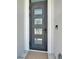 Modern four-paneled front door with dark trim at 6540 Simone Shores Cir, Apollo Beach, FL 33572