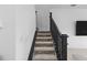 Modern staircase with black railing and carpeted steps at 32588 Tree Of Life Ave, Wesley Chapel, FL 33543