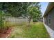 Private backyard with two mango trees and a wooden fence at 3554 Deer Run S, Palm Harbor, FL 34684