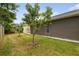 Relaxing backyard with two mature mango trees and a lawn area at 3554 Deer Run S, Palm Harbor, FL 34684