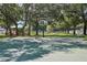 Community basketball court with markings and a hoop, surrounded by trees at 5723 Autumn Shire Dr, Zephyrhills, FL 33541