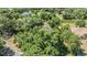An aerial perspective highlighting the property's setting among lush trees and nature, with a view of the nearby pond at 6605 Pemberton Sage Ct, Seffner, FL 33584