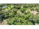 An aerial view highlighting the property's setting among lush trees and nature, with a view of the nearby pond at 6605 Pemberton Sage Ct, Seffner, FL 33584