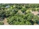 An aerial view highlighting the property's setting among lush trees and nature, with a view of the nearby pond at 6605 Pemberton Sage Ct, Seffner, FL 33584