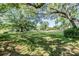 Large backyard featuring mature trees, green lawn, swing set, and waterfront at 6605 Pemberton Sage Ct, Seffner, FL 33584