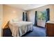 Comfortable bedroom with two bright windows and ceiling lighting at 6605 Pemberton Sage Ct, Seffner, FL 33584