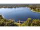 Tranquil lake view with dock and lush vegetation at 21631 Cormorant Cove Dr, Land O Lakes, FL 34637