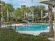 A community pool features lounge chairs, and a tropical oasis with lush landscaping and palm trees at 11818 Tetrafin Dr, Riverview, FL 33579