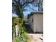 Backyard of home featuring trees and landscaping at 4407 N 41St St, Tampa, FL 33610