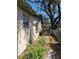 Exterior side view of home showing landscaping and trees at 4407 N 41St St, Tampa, FL 33610