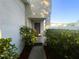 Side entrance with landscaping and walkway at 3316 Thistledown Ln, Land O Lakes, FL 34638