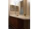 Bathroom featuring a vanity with cabinet storage and sink at 5125 Palm Springs Blvd # 1303, Tampa, FL 33647