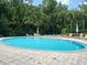 Relaxing community pool area with lounge chairs and umbrellas, surrounded by lush greenery and palm trees at 5125 Palm Springs Blvd # 1303, Tampa, FL 33647