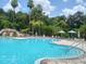 Inviting community pool surrounded by palm trees, offering a refreshing and relaxing environment for residents at 5125 Palm Springs Blvd # 1303, Tampa, FL 33647