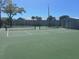 Several outdoor pickleball courts available for residents to use at their leisure on a sunny day at 10957 Keys Gate Dr, Riverview, FL 33579