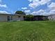 Expansive backyard showcasing lush greenery, ideal for Gathering activities and outdoor entertainment at 3931 E Eden Roc Cir, Tampa, FL 33634