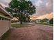 Brick driveway leading to a home with a mature tree in the front yard at sunset at 3931 E Eden Roc Cir, Tampa, FL 33634