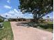 Lovely single-story home with a brick driveway, a spacious yard, and mature trees at 3931 E Eden Roc Cir, Tampa, FL 33634