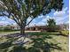 Charming single-story home with a well-manicured front yard and mature trees at 3931 E Eden Roc Cir, Tampa, FL 33634