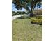 Landscaped front yard featuring lush greenery and a vibrant flowering tree at 3931 E Eden Roc Cir, Tampa, FL 33634