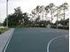 Spacious outdoor basketball court surrounded by mature trees and landscaping at 228 Star Shell Dr, Apollo Beach, FL 33572