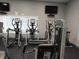 Well-equipped fitness center featuring modern cardio machines for residents at 228 Star Shell Dr, Apollo Beach, FL 33572