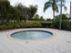 An inviting hot tub sits amongst lush, tropical landscaping for relaxation at 228 Star Shell Dr, Apollo Beach, FL 33572