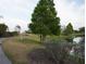 Scenic view of a community pond surrounded by trees, a walking path, and grass at 228 Star Shell Dr, Apollo Beach, FL 33572